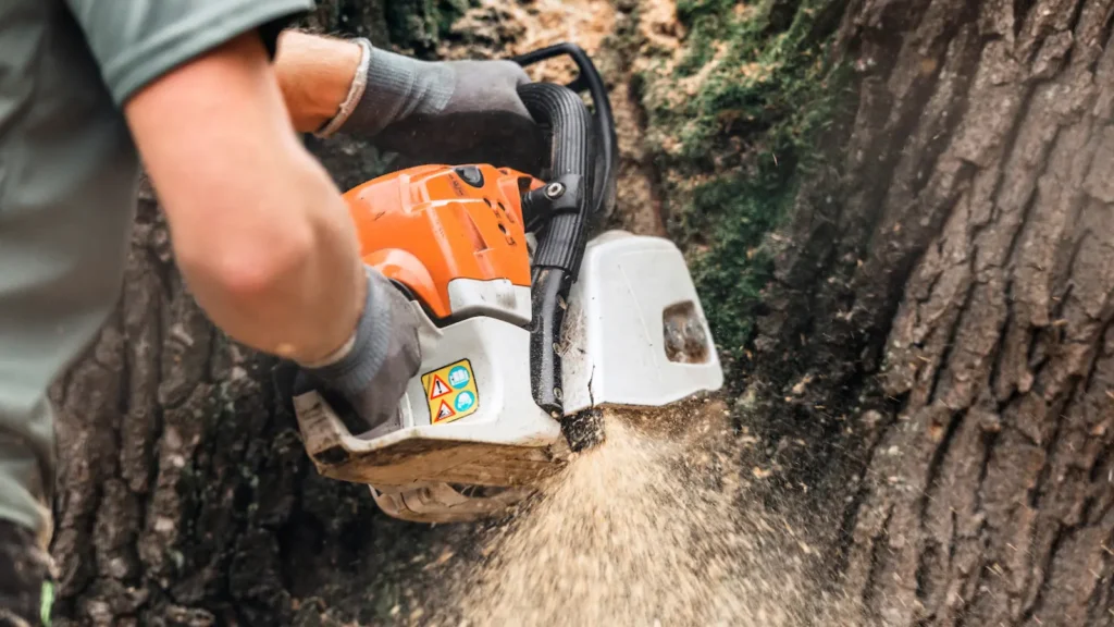 Arborist safely removing tree with chainsaw during residential tree service