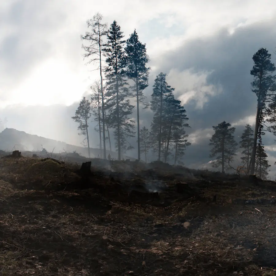 Wildfire safety and defensible space management in the Sierra Nevada foothills of El Dorado County California