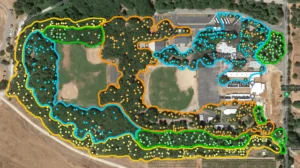 Why a Tree Management Plan Is a Smart Investment for Your Property.
