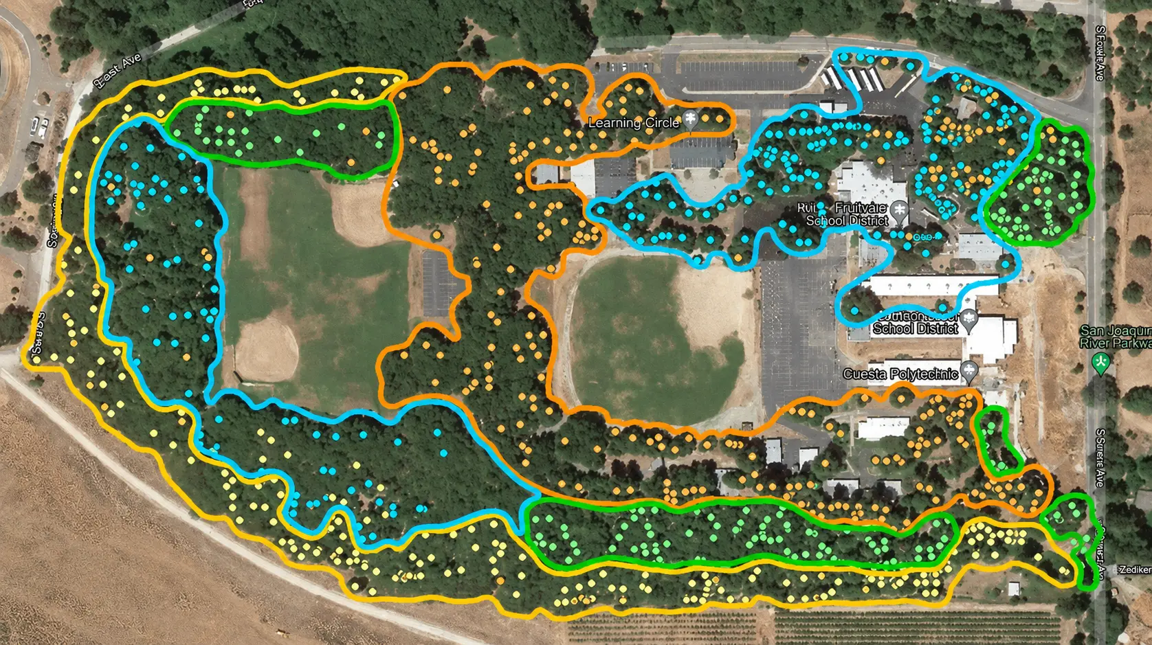 ISA-Certified arborist conducting a tree risk assessment for a commercial HOA property in Placerville CA