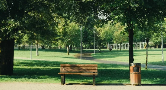 Professionally maintained public landscape with safe pedestrian access